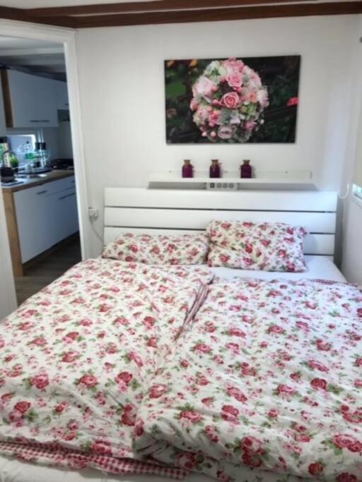 Ferienhaus Meise Wervershoof Ngoại thất bức ảnh